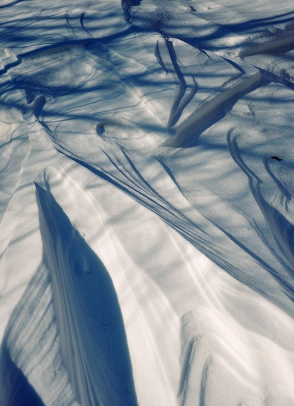 Фотовиставка Лідії Кожевнікової 